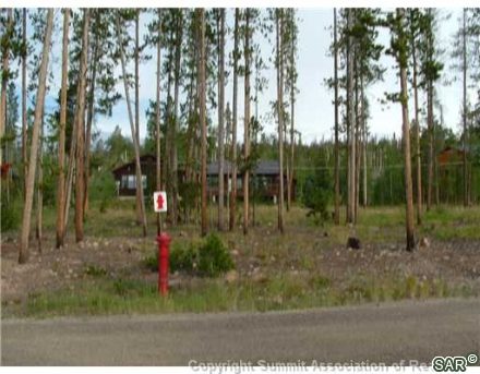 143 Elk Thistle Drive photo 9