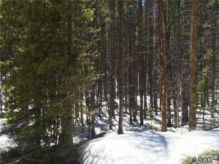Land in Bekkedal Sub, Breckenridge — photo 5 Land in Bekkedal Sub, Breckenridge, CO — photo 5 (MLS S373037)