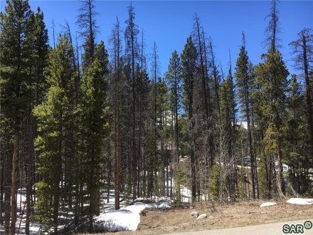 Land in Bekkedal Sub, Breckenridge, CO — photo 6 (MLS S373037)