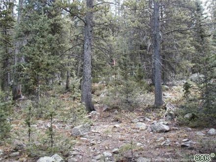 Land in Montezuma Town Sub, Montezuma, CO — photo 5 (MLS S373790)