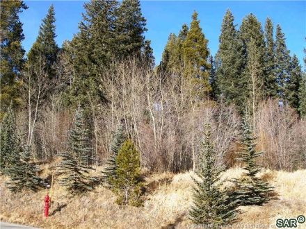 Land in Trappers Glen Sub, Breckenridge — photo 5 Land in Trappers Glen Sub, Breckenridge, CO — photo 5 (MLS S373837)