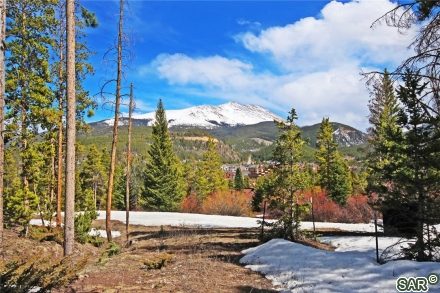 150 Beavers Dr photo 23