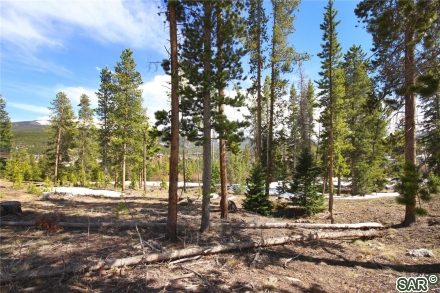 150 Beavers Dr photo 25