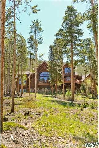 317 Mountain Bluebell Road photo 3