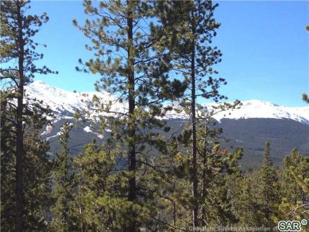 Home in Quality Hill Sub, Breckenridge, CO — photo 2 (MLS S374162)