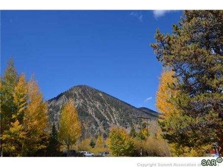 314 Miners Creek Rd photo 11