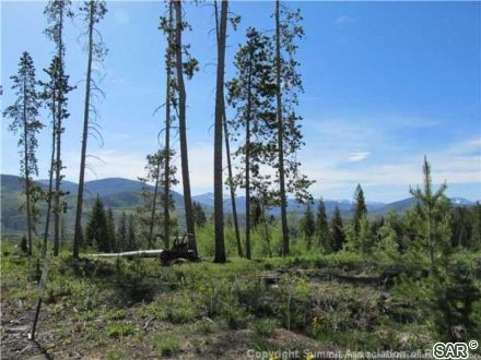 Land in Willow Creek Highlands, Silverthorne — photo 2 Land in Willow Creek Highlands, Silverthorne, CO — photo 2 (MLS S374271)