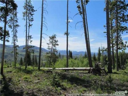 Land in Willow Creek Highlands, Silverthorne — photo 4 Land in Willow Creek Highlands, Silverthorne, CO — photo 4 (MLS S374271)