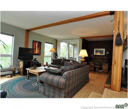 Condo in Mountain Country Condo, Wildernest — photo 3 Condo in Mountain Country Condo, Wildernest, CO — photo 3 (MLS S374277)