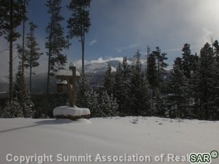 Land in Peak Eight Place, Breckenridge, CO — photo 1 (MLS S374304)
