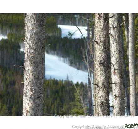 373 Timber Trail Rd photo 7