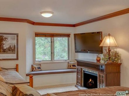 602 White Cloud Dr photo 7