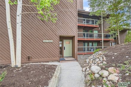 423 Wild Irishman Rd photo 21