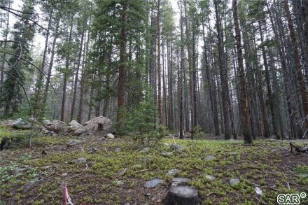 Land in Crown Sub, Blue River — photo 5 Land in Crown Sub, Blue River, CO — photo 5 (MLS S374514)