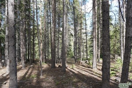 Land in Crown Sub, Blue River, CO — photo 6 (MLS S374514)