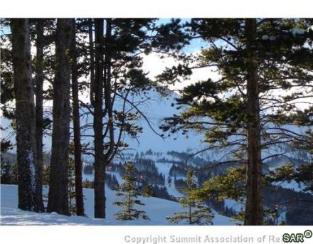 425 Timber Trail Road, Breckenridge, CO — main photo