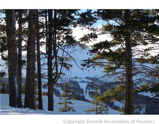 425 Timber Trail Rd, Breckenridge, CO — main photo