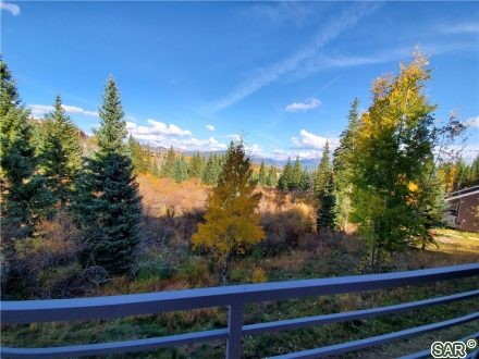 10000 Ryan Gulch Rd, Wildernest, CO — main photo
