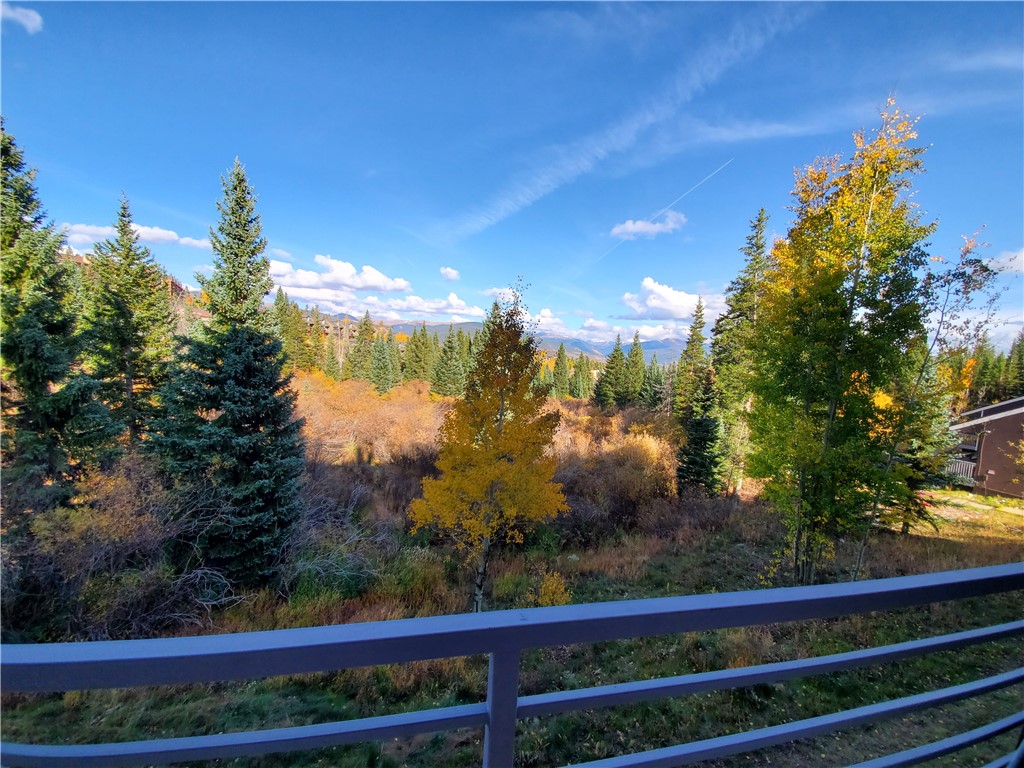 10000 Ryan Gulch Rd, Wildernest, CO — main photo