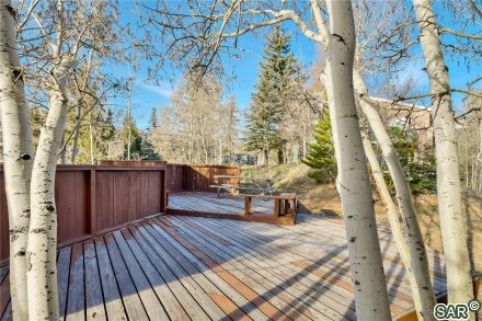 Condo in New Lamartine Condo, Silverthorne — photo 1 Condo in New Lamartine Condo, Silverthorne, CO — photo 1 (MLS S374861)