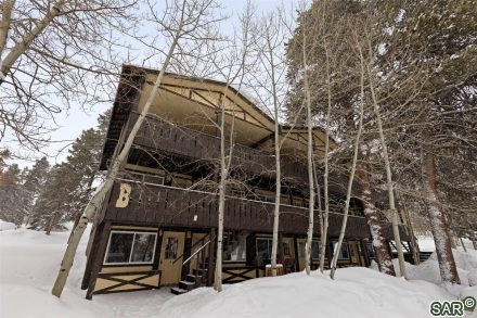 1941 Boreas Pass Rd, Breckenridge, CO — main photo