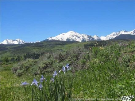 Land in Ute Peak Ridge Sub, Silverthorne — photo 4 Land in Ute Peak Ridge Sub, Silverthorne, CO — photo 4 (MLS S375147)
