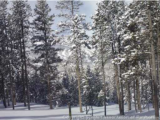 95 Grey Jay Ln, Breckenridge, CO — main photo
