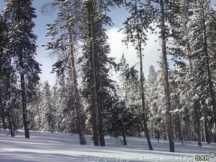 Land in Baldy Ridge Estates Pud, Breckenridge — photo 2 Land in Baldy Ridge Estates Pud, Breckenridge, CO — photo 2 (MLS S375198)
