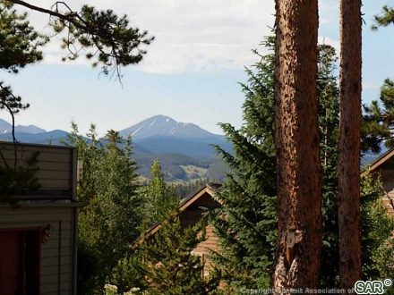 216 Snowberry Way photo 12