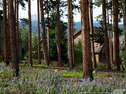 Land in Snowberry Sub, Dillon, CO — photo 2 (MLS S375209)