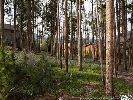 Land in Snowberry Sub, Dillon, CO — photo 3 (MLS S375209)