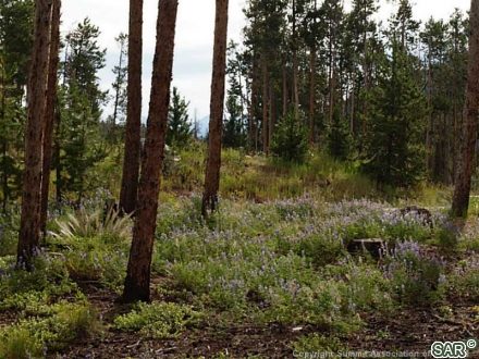 Land in Snowberry Sub, Dillon, CO — photo 4 (MLS S375209)