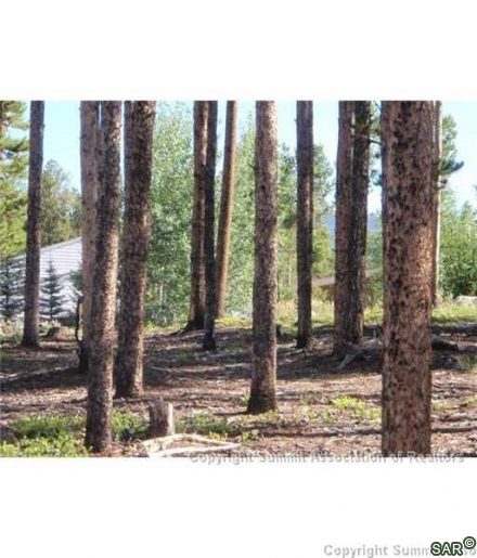 Land in Snowberry Sub, Dillon, CO — photo 6 (MLS S375209)