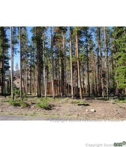 216 Snowberry Way photo 7