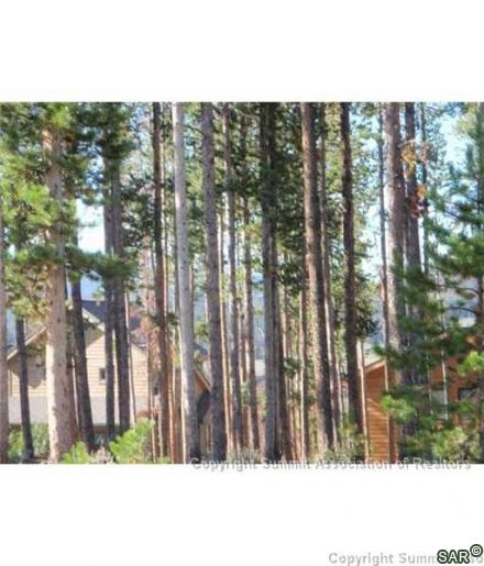 216 Snowberry Way photo 8