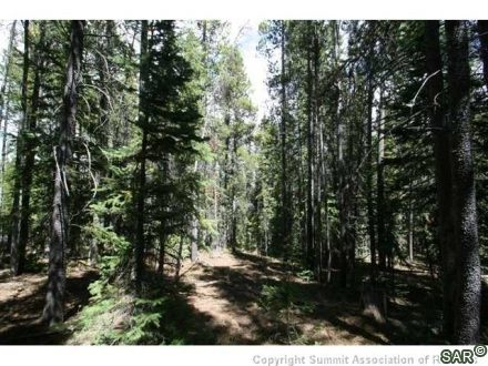 252 Slalom Dr photo 14