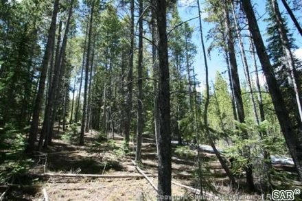 252 Slalom Dr photo 15