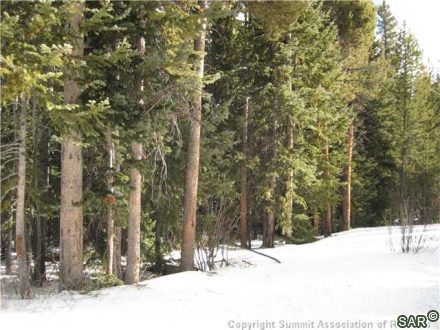 252 Slalom Dr photo 17