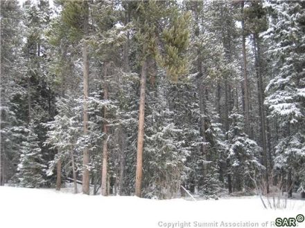 252 Slalom Dr photo 18