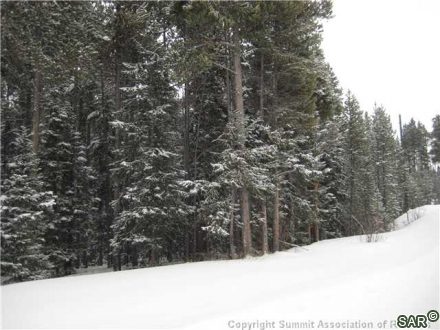252 Slalom Dr photo 19
