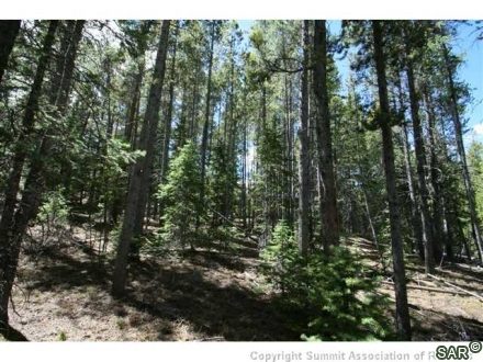 252 Slalom Dr photo 22