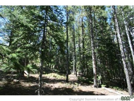 Land in Upper Slope Sub, Breckenridge — photo 4 Land in Upper Slope Sub, Breckenridge, CO — photo 4 (MLS S375228)