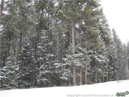 252 Slalom Dr photo 7