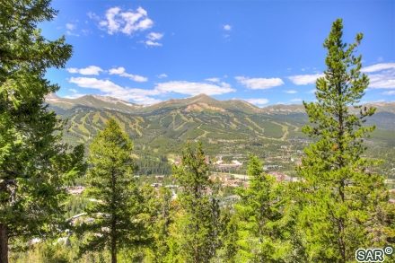 Condo in Ford Hill Condo, Breckenridge, CO — photo 1 (MLS S375329)