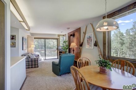 Condo in Ford Hill Condo, Breckenridge, CO — photo 5 (MLS S375329)