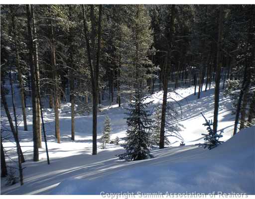 36 Rivershore Dr, Blue River, CO — main photo