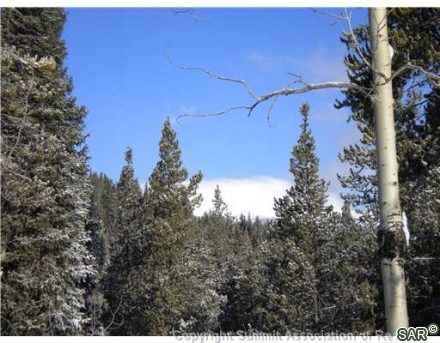 Land in Rivershore Sub, Blue River, CO — photo 4 (MLS S375390)