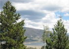 7224 Ryan Gulch Rd photo 1 7224 Ryan Gulch Rd photo 1