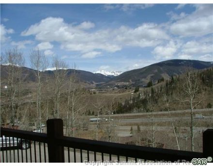 2436 Ryan Gulch Court 2436 photo 11