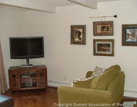 Condo in Silver Queen Condo, Wildernest, CO — photo 5 (MLS S375459)